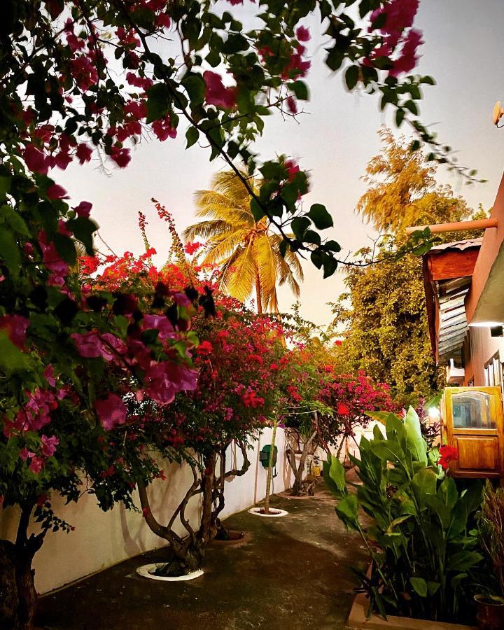 Villa Orchid Beach Guest House Bwejuu Bagian luar foto
