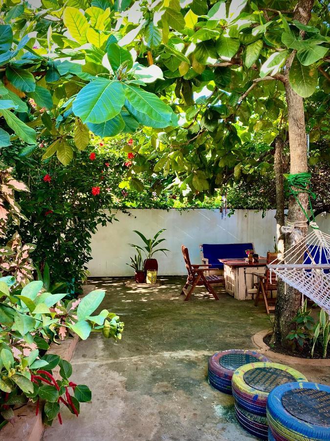 Villa Orchid Beach Guest House Bwejuu Bagian luar foto
