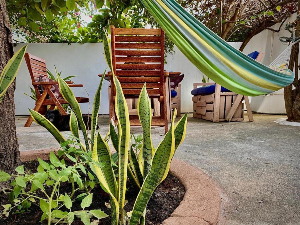 Villa Orchid Beach Guest House Bwejuu Bagian luar foto